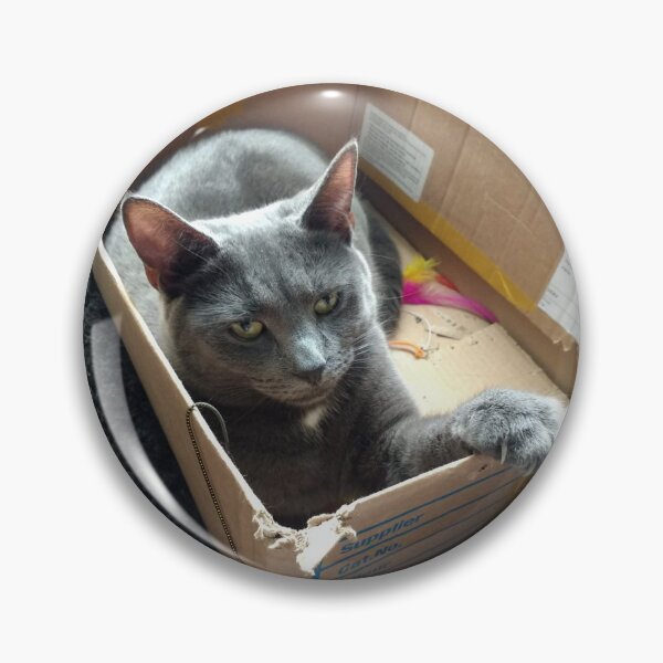 Item preview, #289 |☼| Cat In A Box - Mimi (Cats) designed and sold by Naean H.F. (Nez Man).