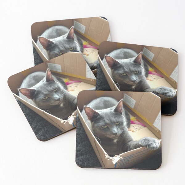 Item preview, #289 |☼| Cat In A Box - Mimi (Cats) designed and sold by Naean H.F. (Nez Man).