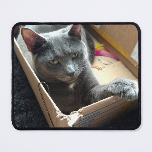 Item preview, #289 |☼| Cat In A Box - Mimi (Cats) designed and sold by Naean H.F. (Nez Man).