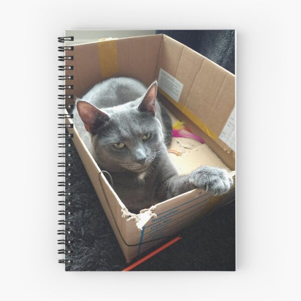 Item preview, #289 |☼| Cat In A Box - Mimi (Cats) designed and sold by Naean H.F. (Nez Man).