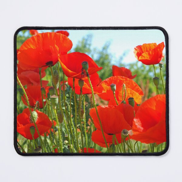 Item preview, Normandy Poppies in late Springtime designed and sold by Alex Cassels.