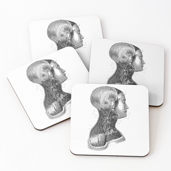 Item preview, Anatomy Muscles  designed and sold by Niftylife.