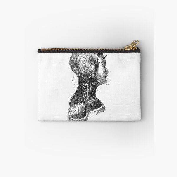 Item preview, Anatomy Muscles  designed and sold by Niftylife.