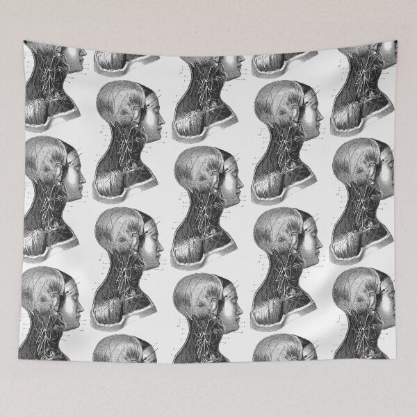 Item preview, Anatomy Muscles  designed and sold by Niftylife.