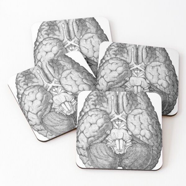 Item preview, Brain designed and sold by Niftylife.