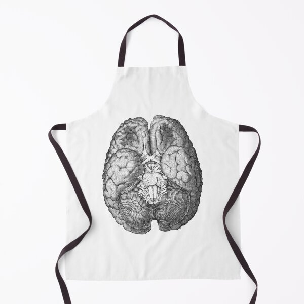 Item preview, Brain designed and sold by Niftylife.