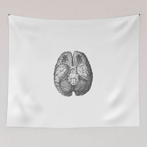 Item preview, Brain designed and sold by Niftylife.