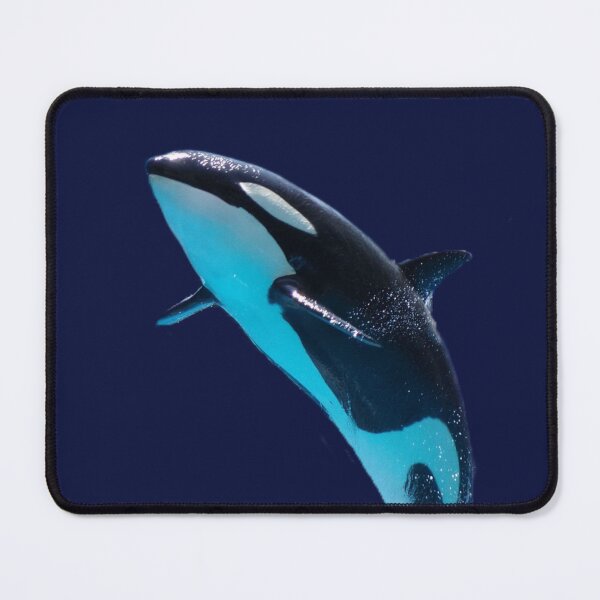 Item preview, Malia Orca designed and sold by Sugargrim3.