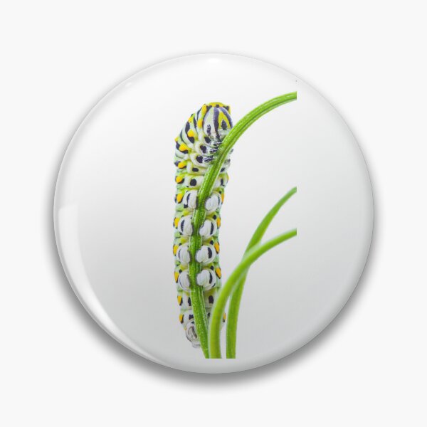 Item preview, Eastern Black Swallowtail Caterpillar  designed and sold by JulieAnnPix.