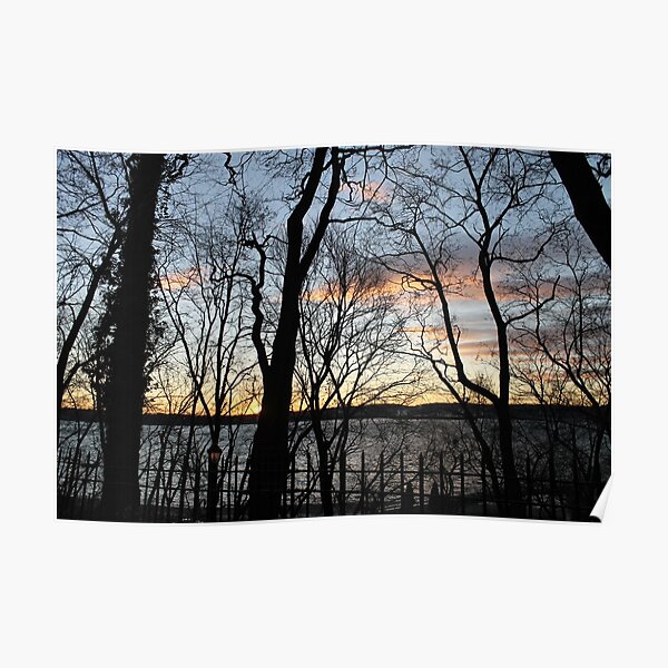 Sunset, pink clouds, trees, tree branches dance strange dance in the rays of sunset Poster