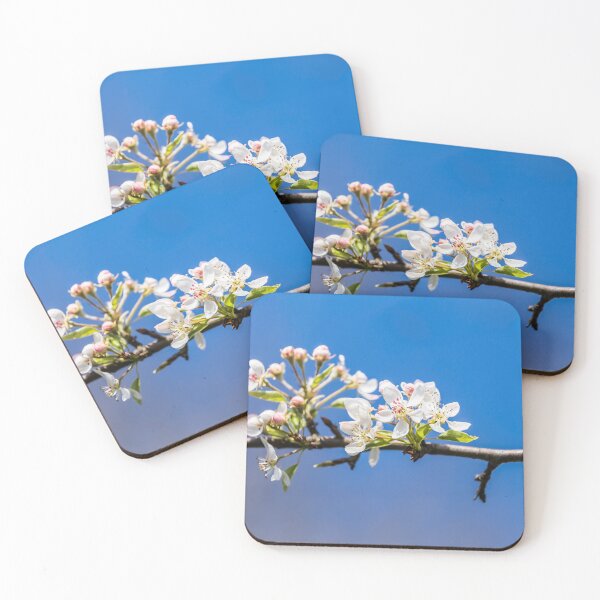 Item preview, white blossom on pear tree designed and sold by OE993.