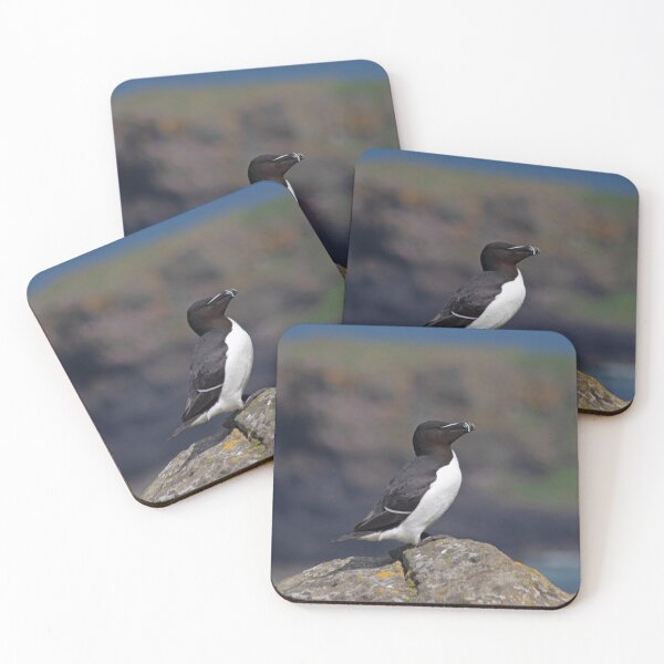 Item preview, Razorbill on a cliff designed and sold by HazelWright.