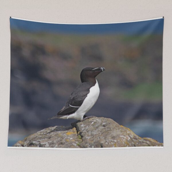 Item preview, Razorbill on a cliff designed and sold by HazelWright.