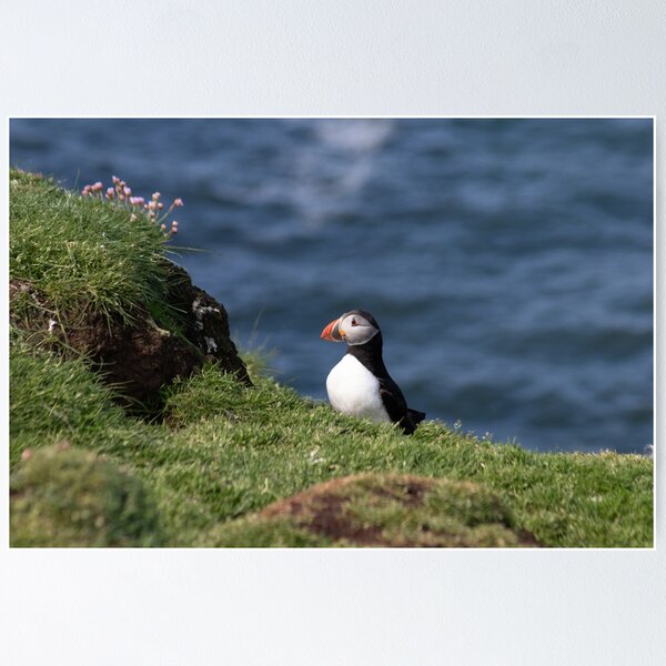Item preview, Puffin on the edge of a cliff designed and sold by HazelWright.
