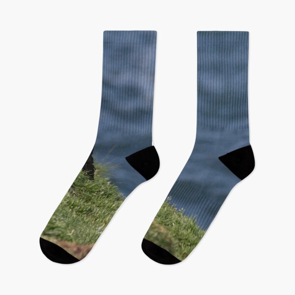 Item preview, Puffin on the edge of a cliff designed and sold by HazelWright.