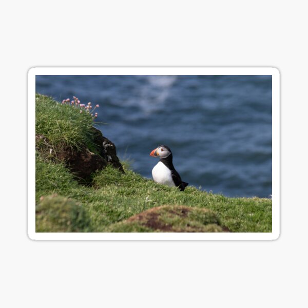 Item preview, Puffin on the edge of a cliff designed and sold by HazelWright.