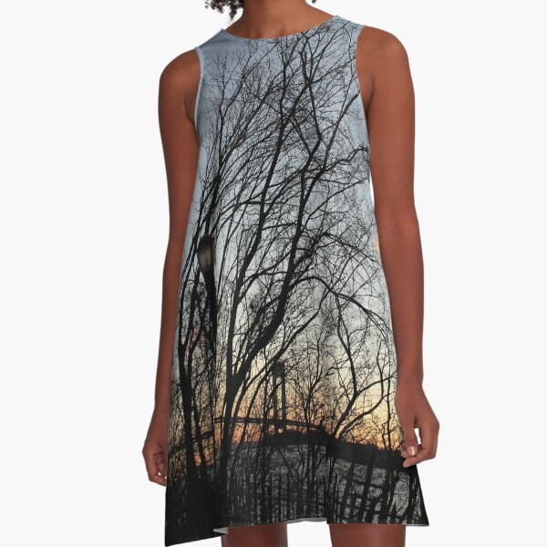 Sunset, pink clouds, trees, tree branches dance strange dance in the rays of sunset A-Line Dress