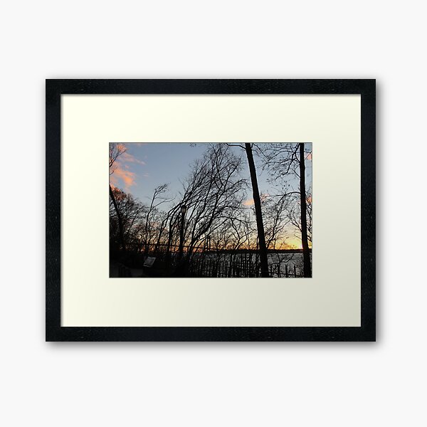 Sunset, pink clouds, trees, tree branches dance strange dance in the rays of sunset Framed Art Print
