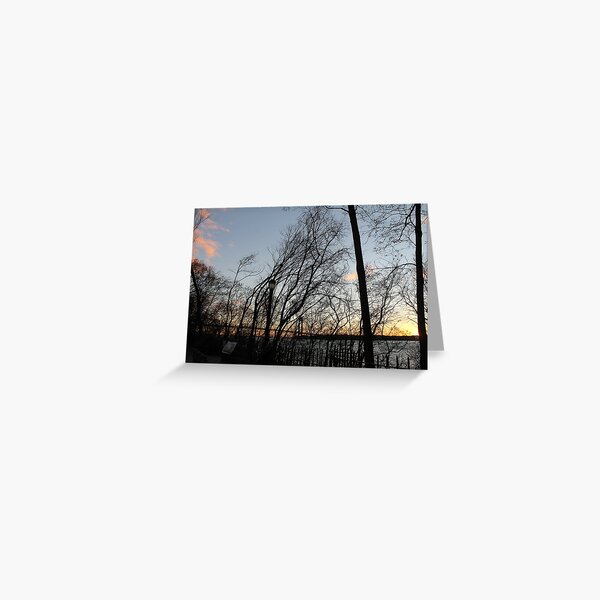 Sunset, pink clouds, trees, tree branches dance strange dance in the rays of sunset Greeting Card