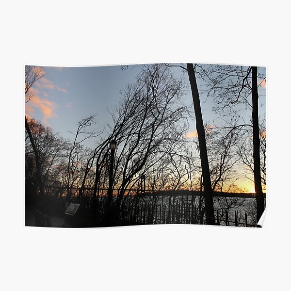 Sunset, pink clouds, trees, tree branches dance strange dance in the rays of sunset Poster