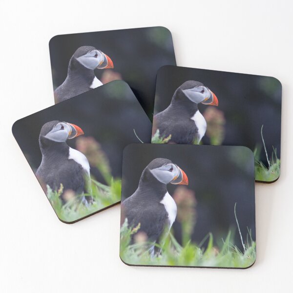 Item preview, Puffin on a clifftop designed and sold by HazelWright.