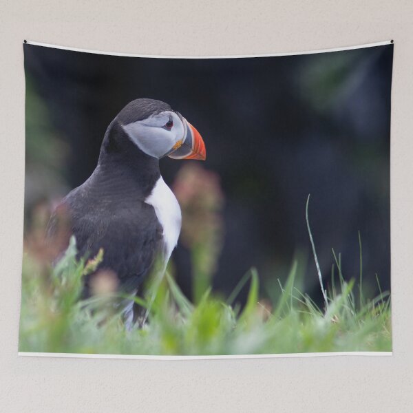 Item preview, Puffin on a clifftop designed and sold by HazelWright.