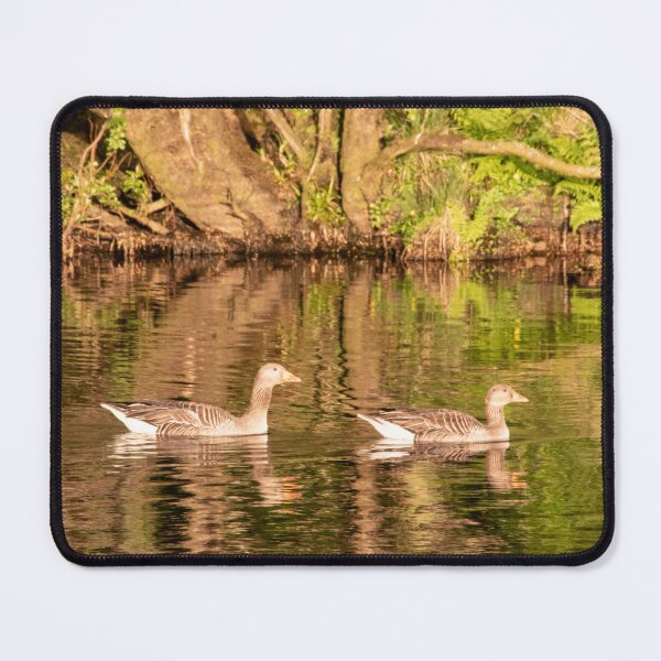 Item preview, Greylag geese, Isle of Mull designed and sold by HazelWright.