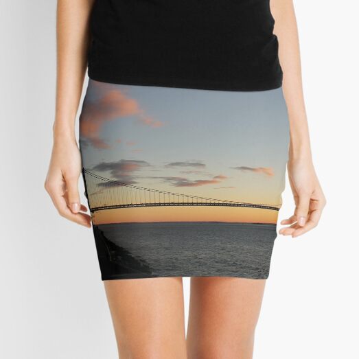 Verrazano-Narrows Bridge  Mini Skirt