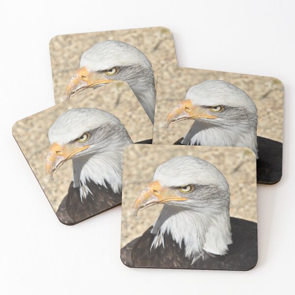 Item preview, The stare of a Bald Eagle  designed and sold by Chris Thaxter.