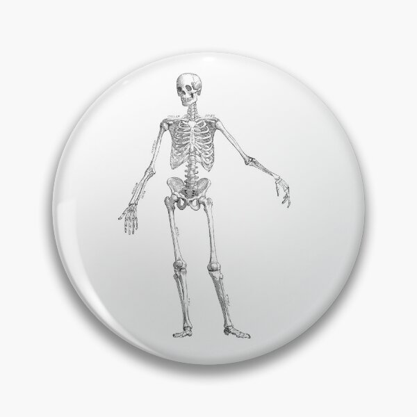 Item preview, Skeleton  designed and sold by Niftylife.