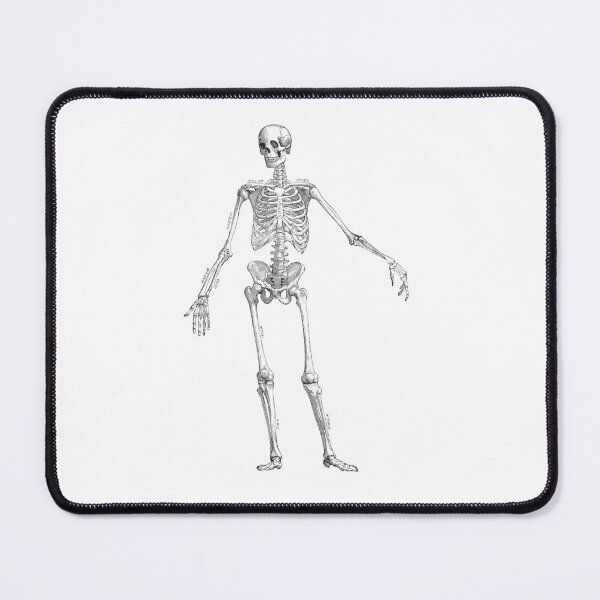 Item preview, Skeleton  designed and sold by Niftylife.