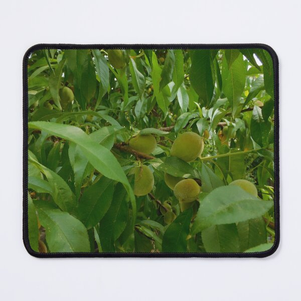 Item preview,  Peach Tree designed and sold by Zarabeaver.