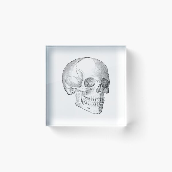 Item preview, Human Skull  designed and sold by Niftylife.