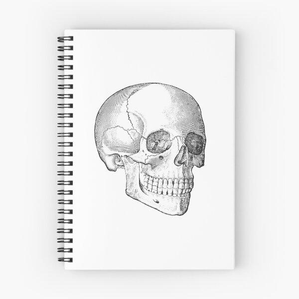Item preview, Human Skull  designed and sold by Niftylife.