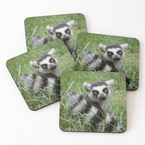 Item preview, Adorable lemur designed and sold by Anirutgu.