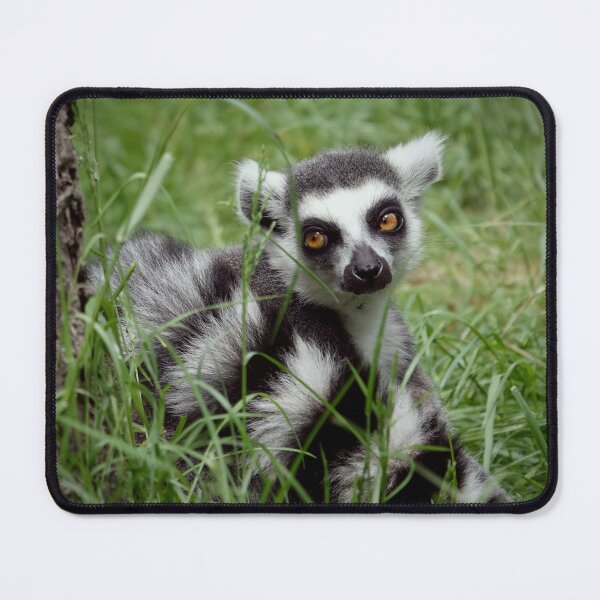 Item preview, Adorable lemur designed and sold by Anirutgu.