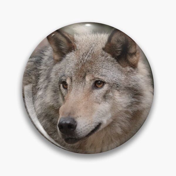 Item preview, European grey wolf  designed and sold by Anirutgu.