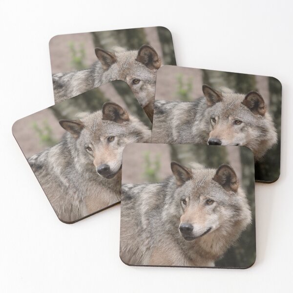 Item preview, European grey wolf  designed and sold by Anirutgu.