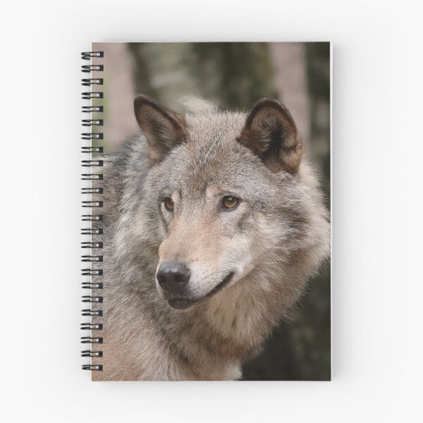 Item preview, European grey wolf  designed and sold by Anirutgu.