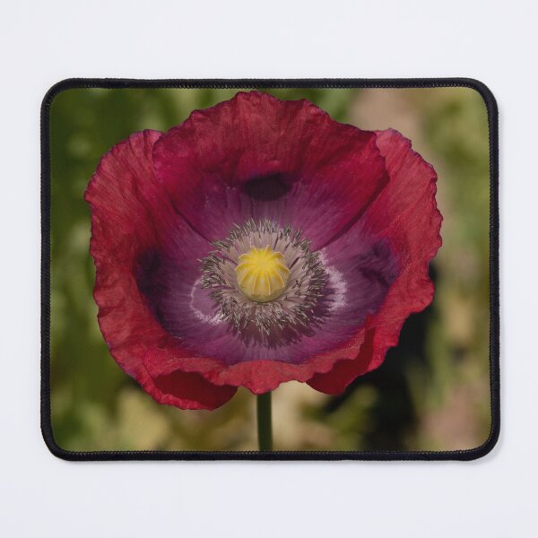 Item preview, Glorious Poppy designed and sold by GingerMan2550.