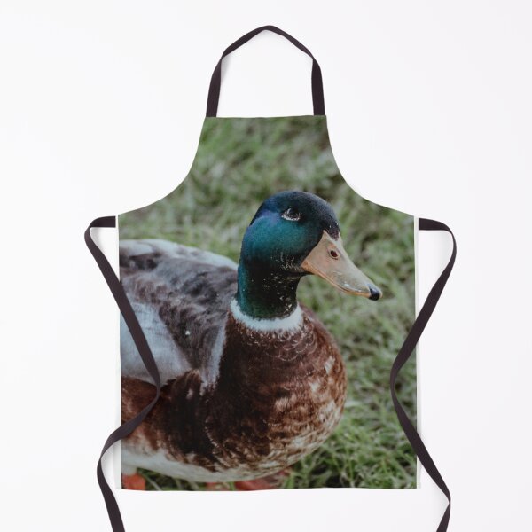 Item preview, Duck from EDAM | Unique Beautiful Travelling Home Decor | Phone Cases Stickers Wall Prints | Scottish Travel Photographer | ZOE DARGUE PHOTOGRAPHY | Glasgow Travel Photographer designed and sold by Zoe Dargue Photography.