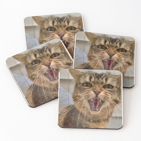 Item preview, ANGRY CAT designed and sold by trevorp.