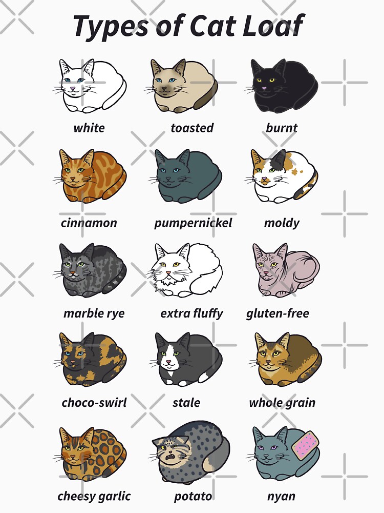 Discover The Types of Cat Loaf | Essential T-Shirt 