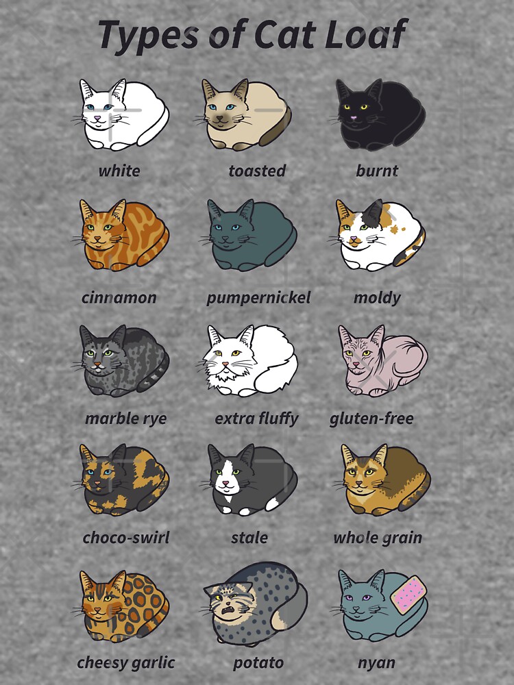 "The Types of Cat Loaf" Lightweight Sweatshirt for Sale by