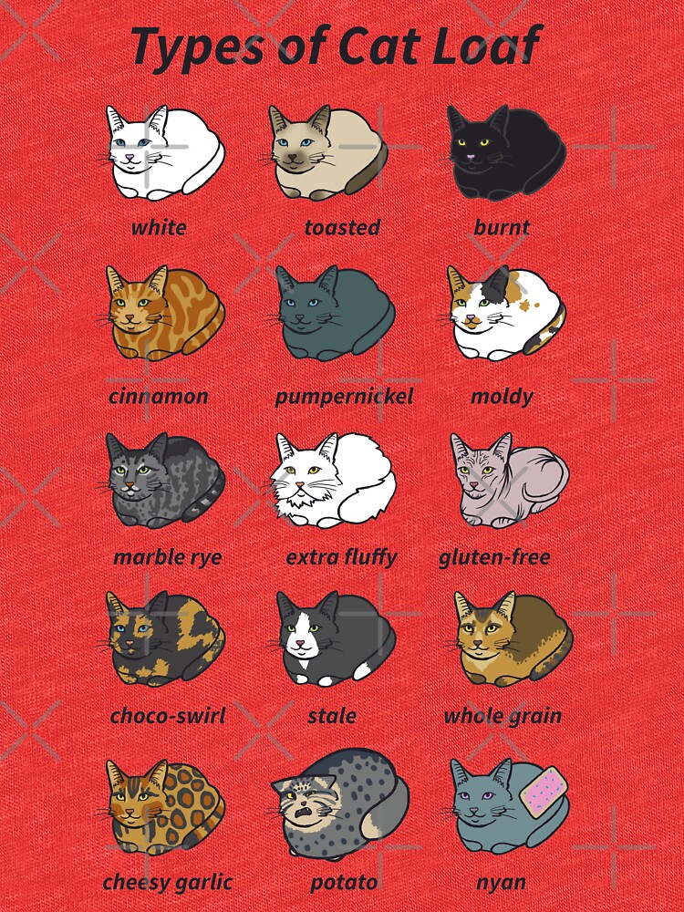 "The Types of Cat Loaf" Tshirt by usclaireforce Redbubble