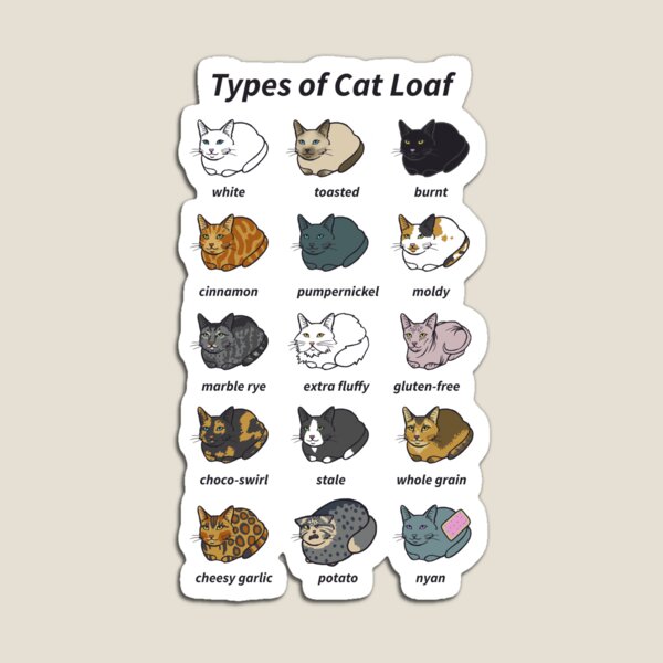 The Types of Cat Loaf Magnet