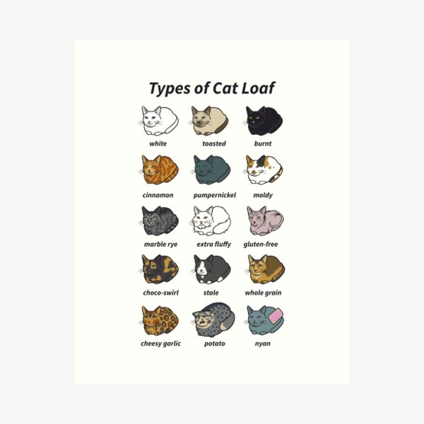 Vista previa del artículo con la obra «Los tipos de pan para gatos», diseñado y vendido por usclaireforce.