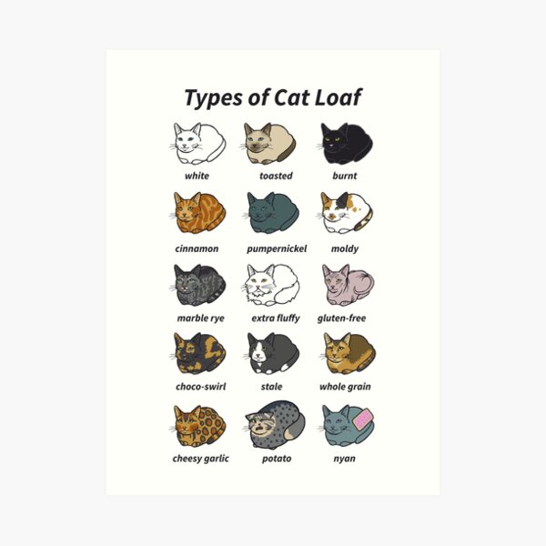 The Types of Cat Loaf Art Print