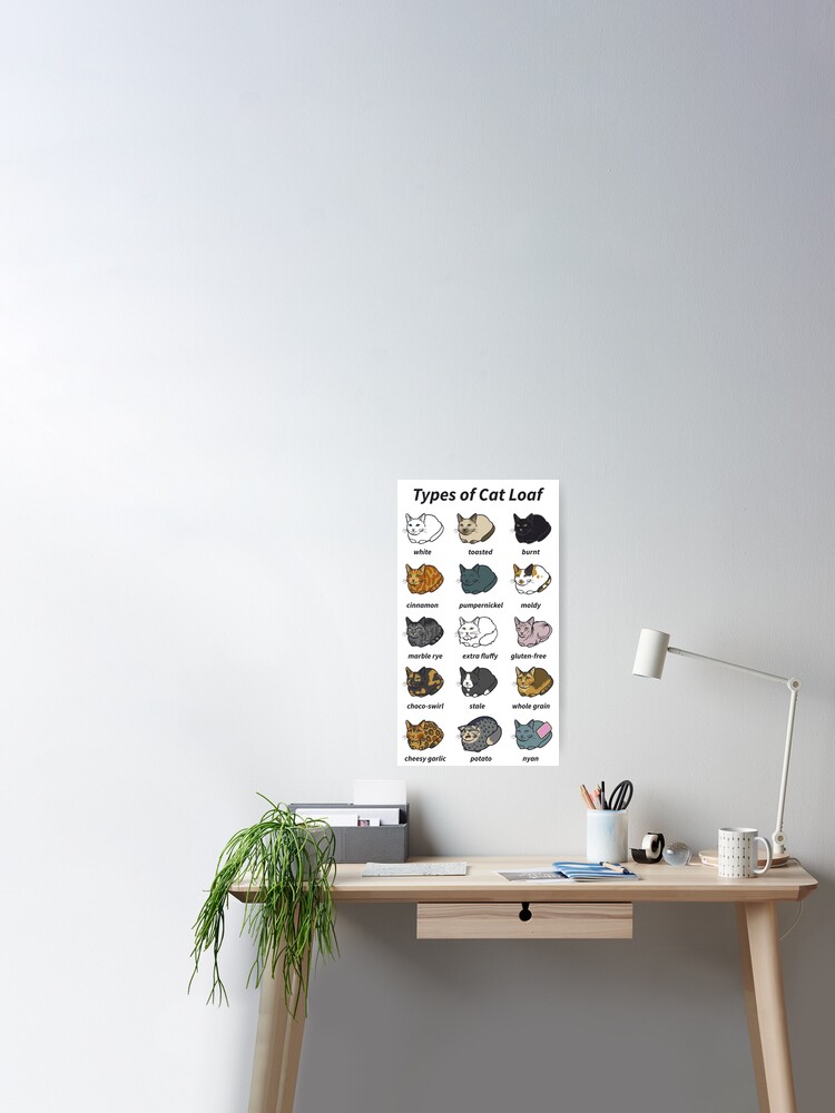 The Types of Cat Loaf Spiral Notebook for Sale by usclaireforce