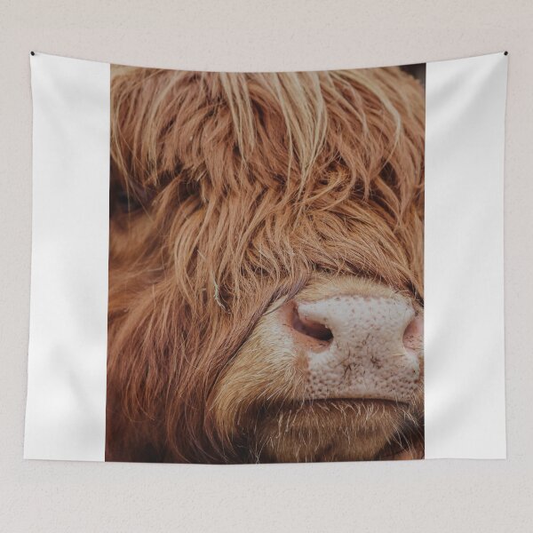 Item preview, HIGHLAND COW  | Unique Beautiful Travelling Home Decor | Phone Cases Stickers Wall Prints | Scottish Travel Photographer  | ZOE DARGUE PHOTOGRAPHY | Glasgow Travel Photographer  designed and sold by Zoe Dargue Photography.